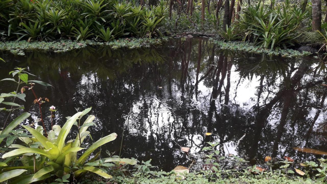 Pousada Chácara Pacheco Visconde de Mauá Exterior foto