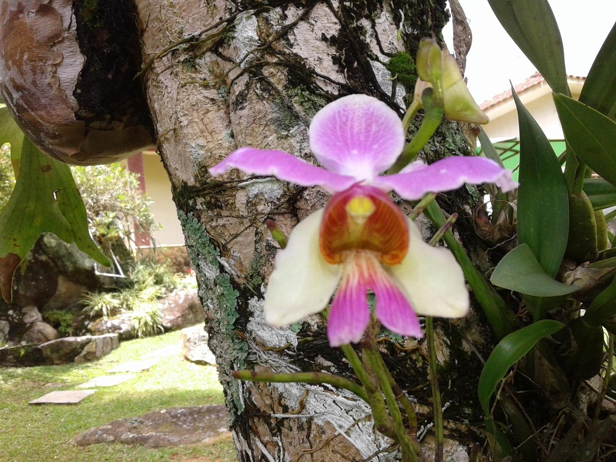 Pousada Chácara Pacheco Visconde de Mauá Quarto foto